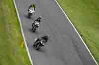Lower Group Black Bikes